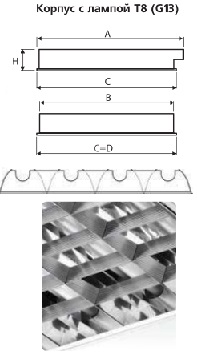 �������. �����